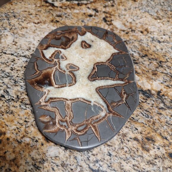 Vintage SEPTARIAN Nodule Slab Mineral With a Lightning Like Pattern - Picture 4 of 7